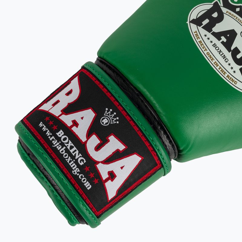 Bokso pirštinės RAJA BOXING Single Standard Genuine Leather green 6