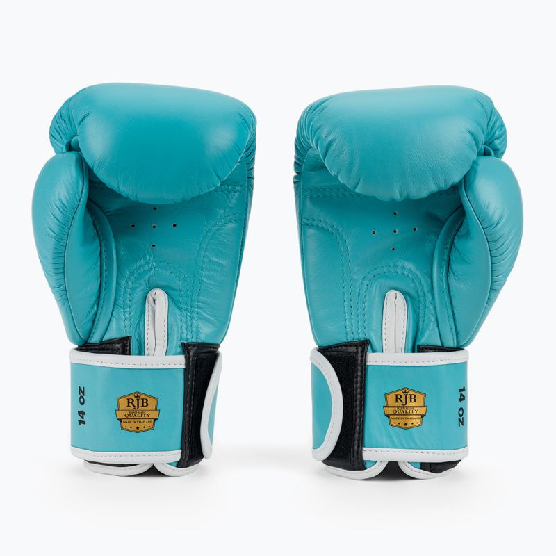 Bokso pirštinės RAJA BOXING Single Standard Genuine Leather light blue 3