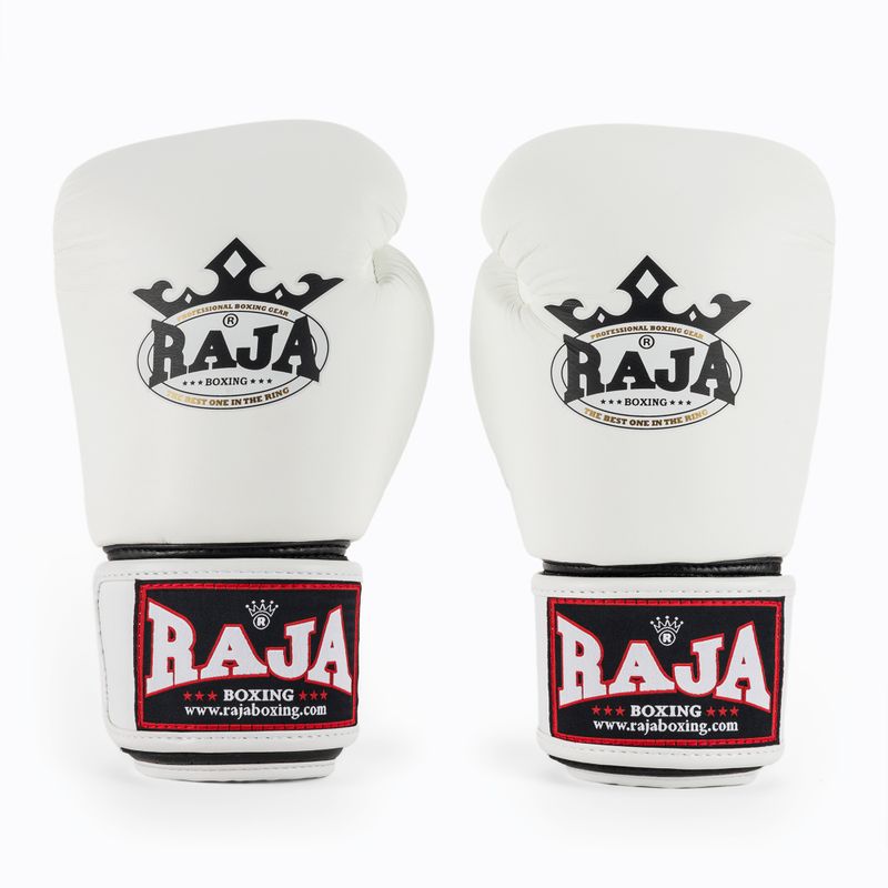 Bokso pirštinės RAJA BOXING Single Standard Genuine Leather white 2