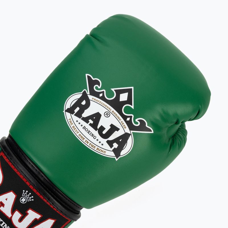 Bokso pirštinės RAJA BOXING Single Semi Leather green 5