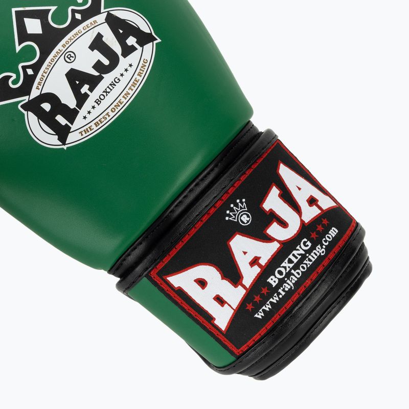 Bokso pirštinės RAJA BOXING Single Semi Leather green 6