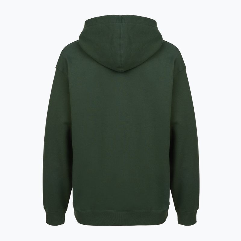 Vyriškas džemperis PROSTO Biolog Hoodie chaki 2