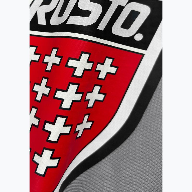 Vyriškas džemperis PROSTO Big Shield Crewneck gray 3