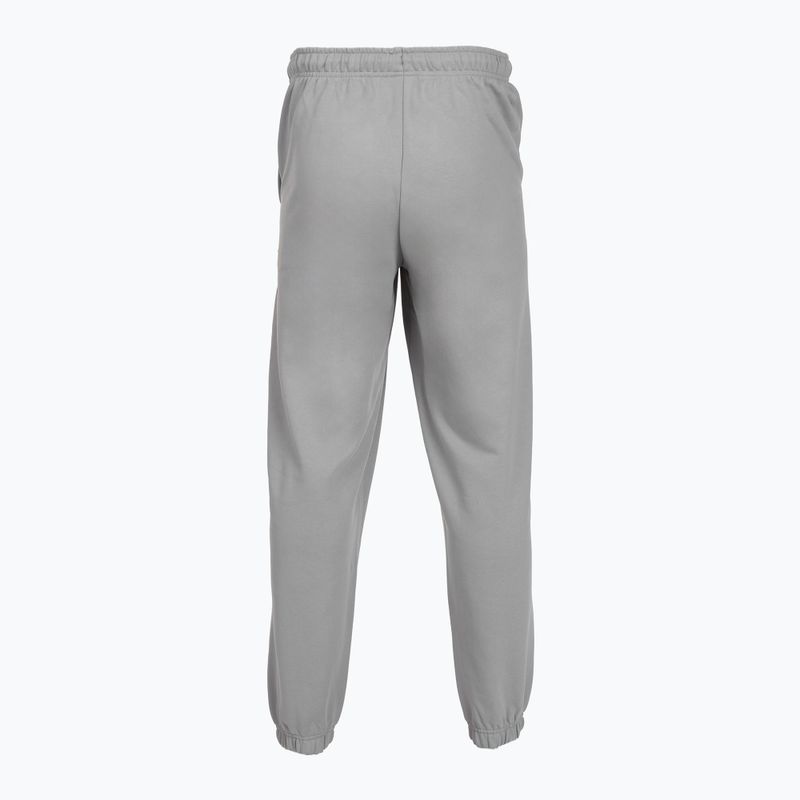 Vyriškos kelnės PROSTO Big Shield gray 2