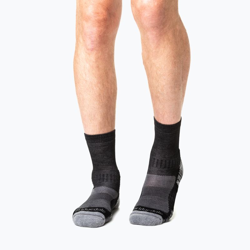Vyriškos kojinės Bridgedale Lightweight Merino Performance 3/4 Crew Original black/silver 5
