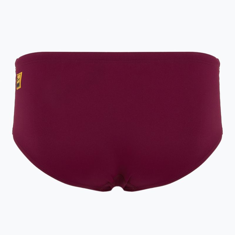 Vyriškos plaukimo kelnaitės FINIS Aqua Short Solid cabernet 2