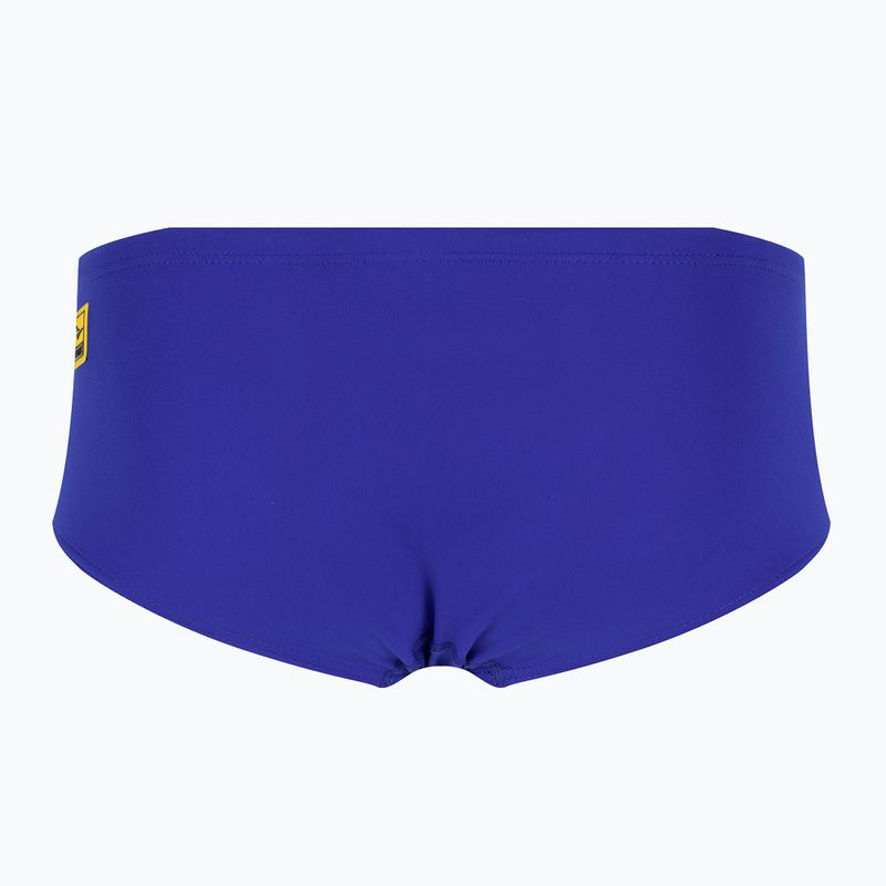 Vyriškos plaukimo kelnaitės FINIS Aqua Short Solid blueberry 2