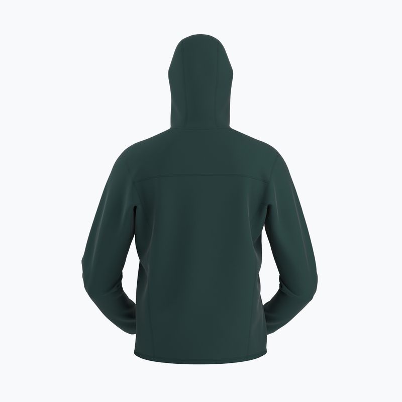 Arcteryx Kyanite pytheas trekkinginis džemperis vyrams 10