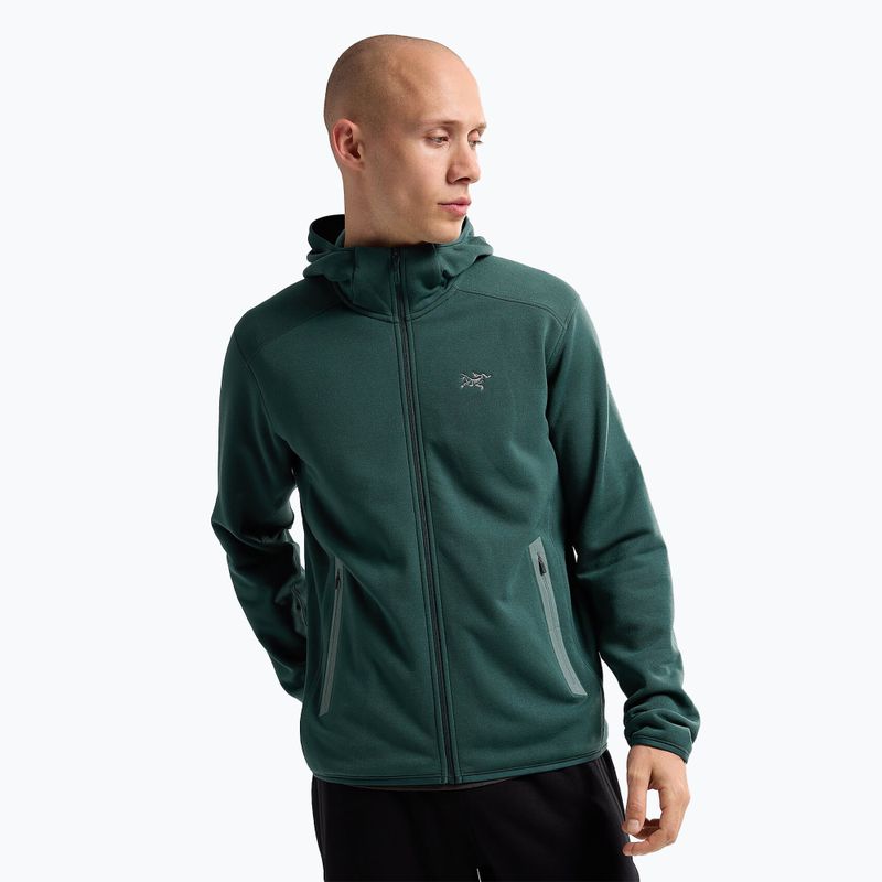 Arcteryx Kyanite pytheas trekkinginis džemperis vyrams