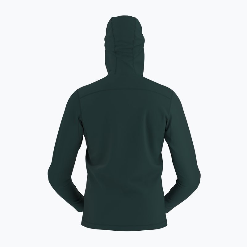 Arcteryx vyriškas trekingas džemperis Rho LT Hoody pytheas 9