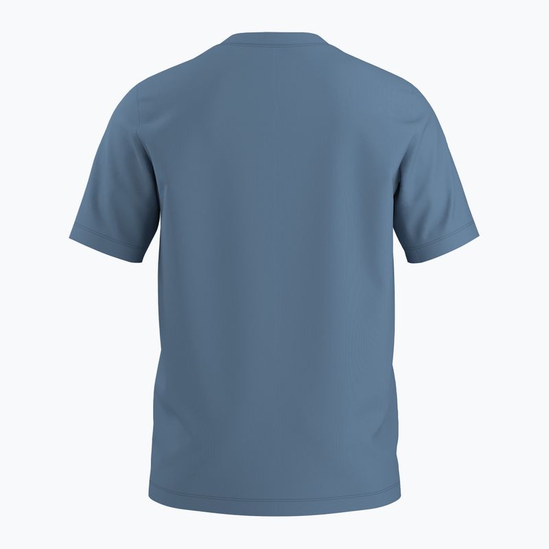 Vyriški marškinėliai Arcteryx Arc'Word Logo stone wash 6