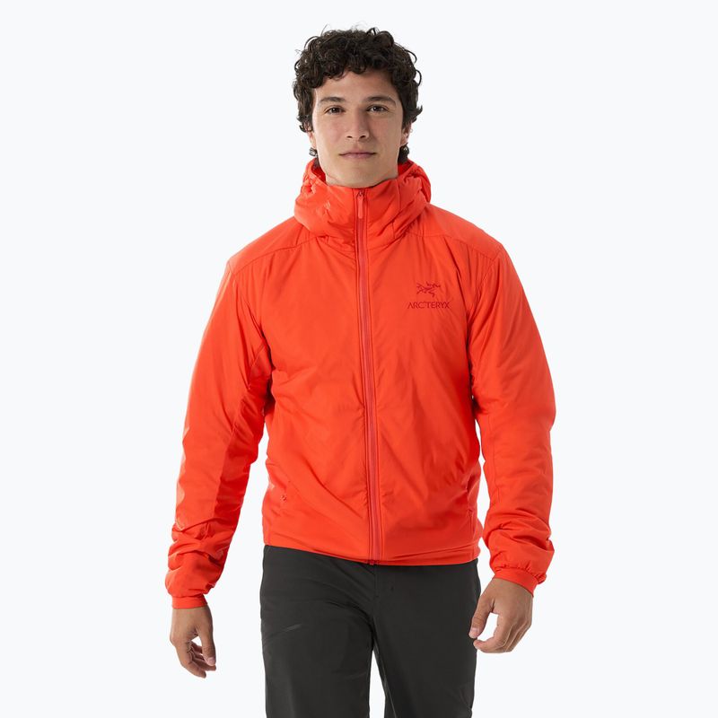 Vyriška pašiltinta striukė Arcteryx Atom Hoody solaris