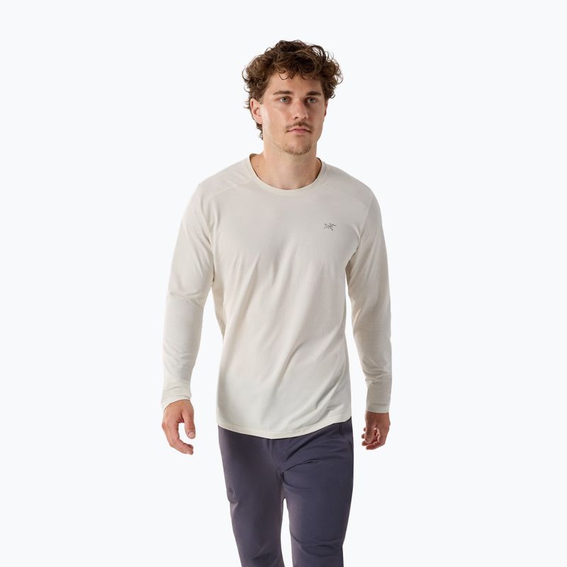 Vyriški žygio marškinėliai ilgomis rankovėmis Arc'teryx Cormac Crew arctic silk heather