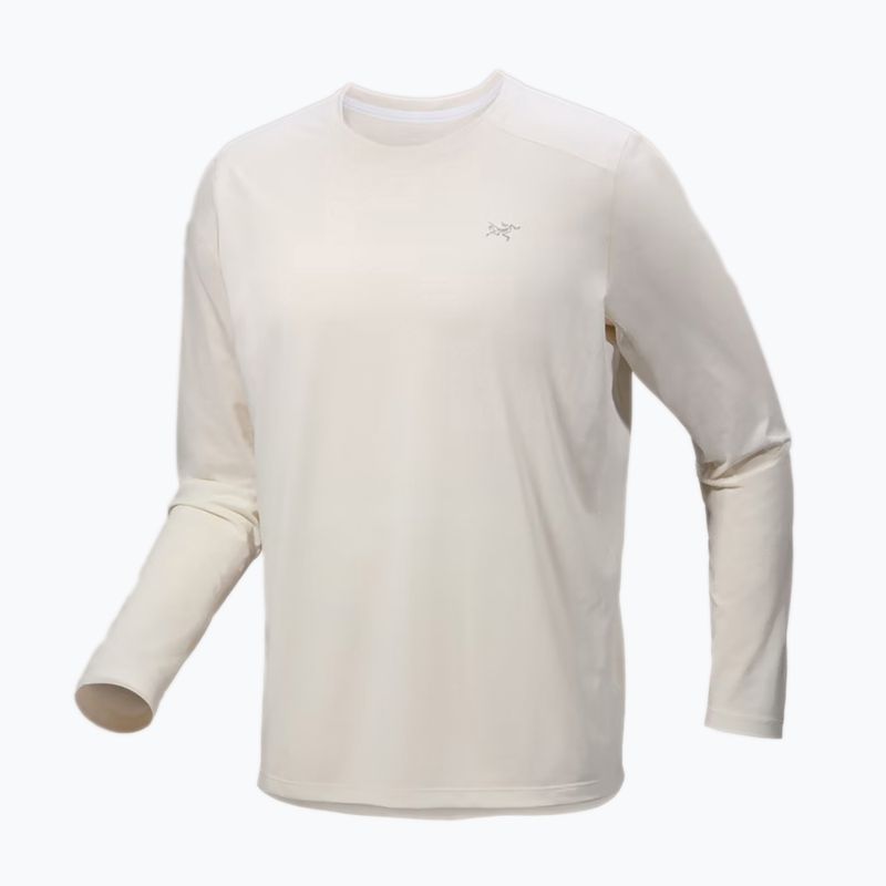 Vyriški žygio marškinėliai ilgomis rankovėmis Arc'teryx Cormac Crew arctic silk heather 4