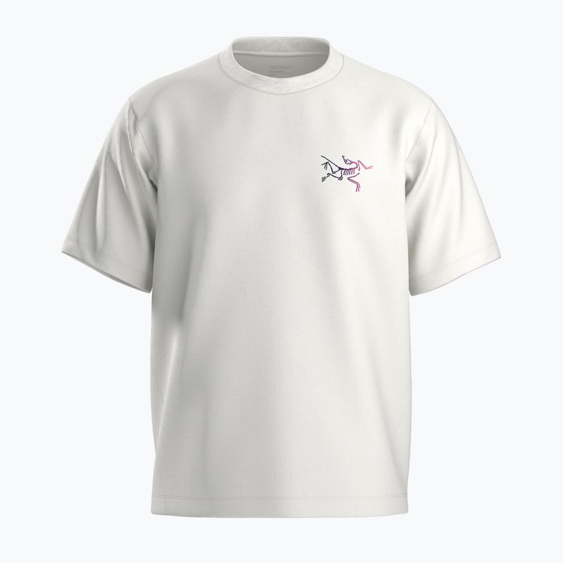 Vyriški marškinėliai Arc'teryx Kragg Cotton Logo white light / soul