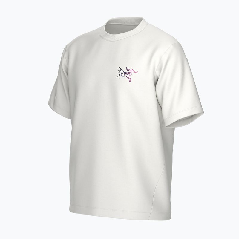Vyriški marškinėliai Arc'teryx Kragg Cotton Logo white light / soul 3