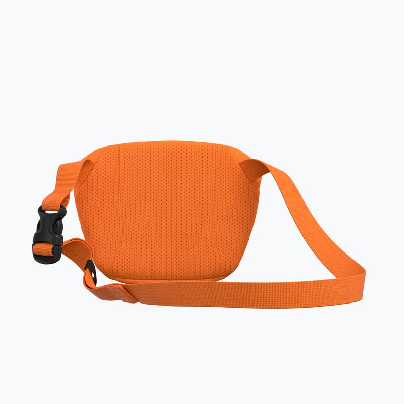Arc'teryx Mantis 1 1,5 l talpos maišelis 3