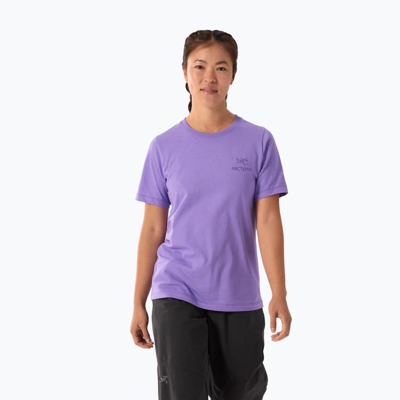 Moteriški marškinėliai Arc'teryx Kragg Sl Cotton Emblem Crew aster