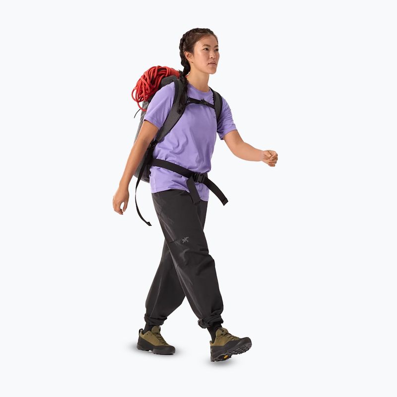 Moteriški marškinėliai Arcteryx Kragg Sl Cotton Emblem Crew aster 2