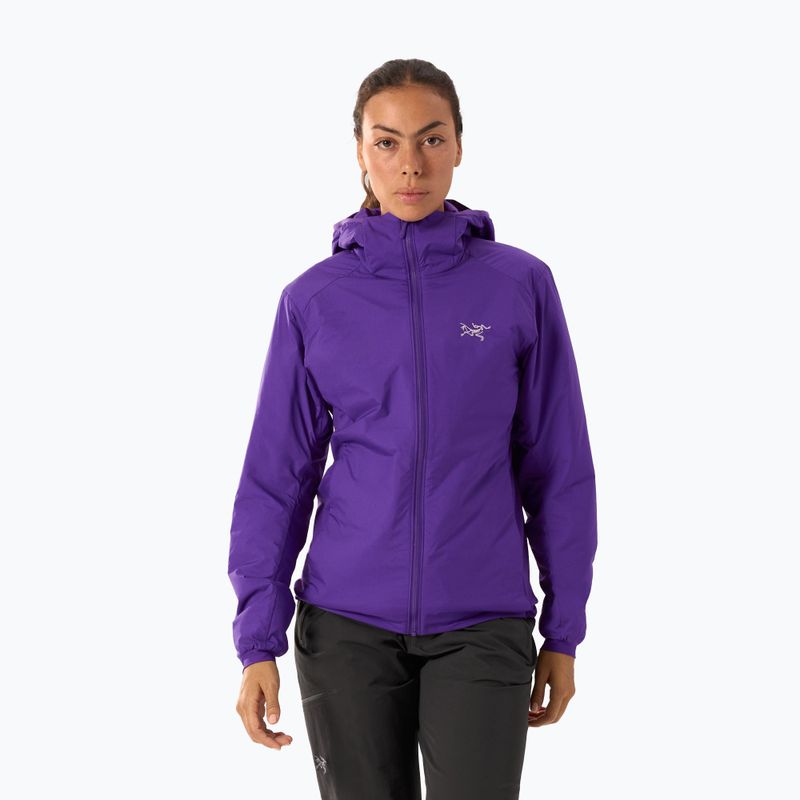 Moteriška pašiltinta striukė Arcteryx Atom Hoody azalea