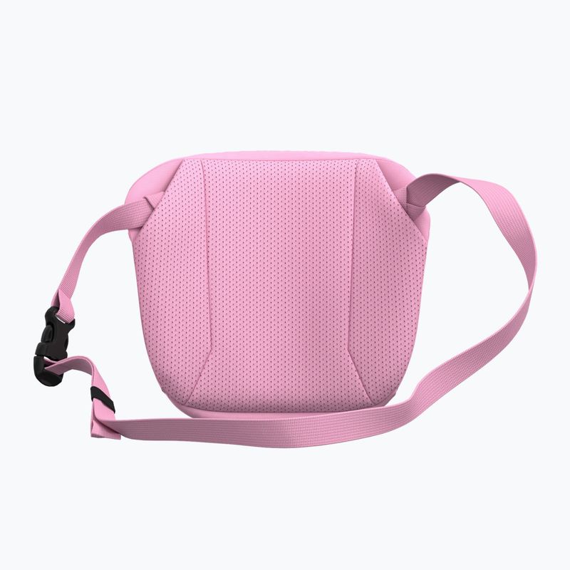 Maža rankinė Arcteryx Mantis 2 2,5 and pineberry 3