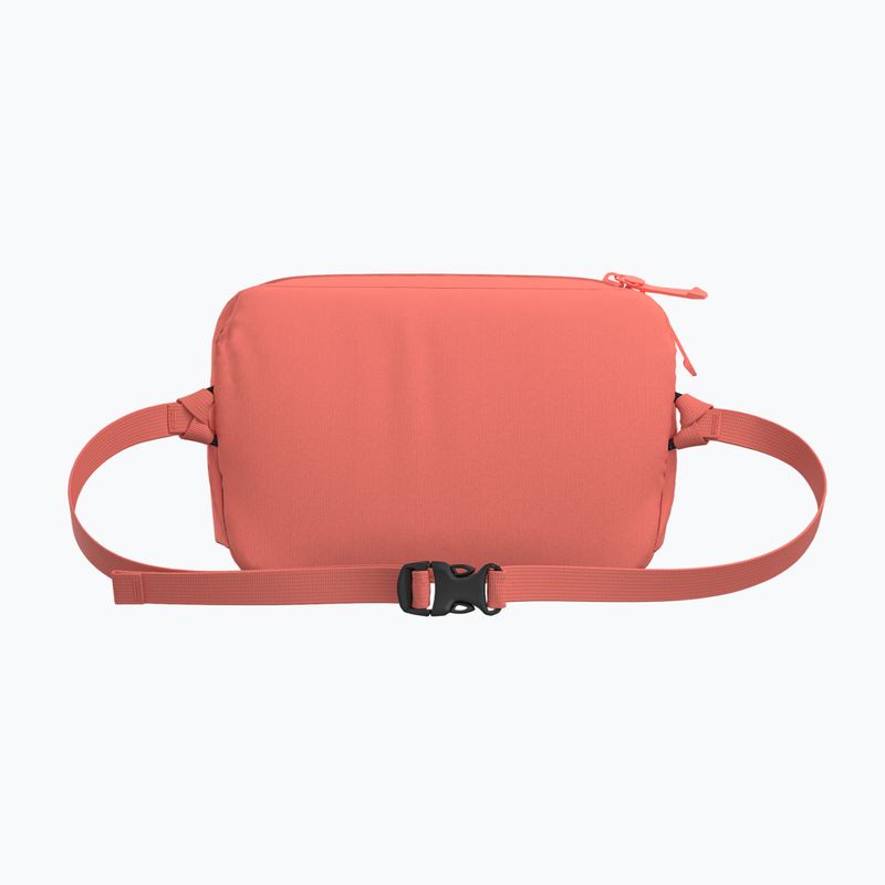 Maža rankinė Arcteryx Heliad 2,5 l reef 2