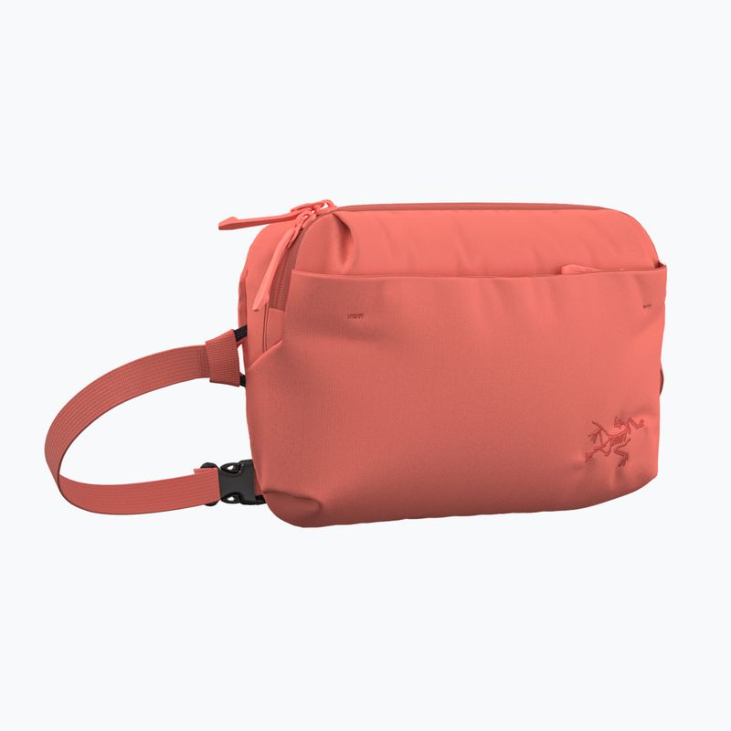 Maža rankinė Arcteryx Heliad 2,5 l reef 3
