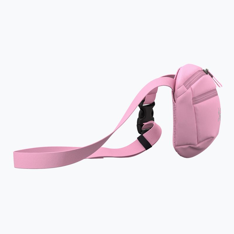 Maišelis Arc'teryx Mantis 1 1,5 l 4