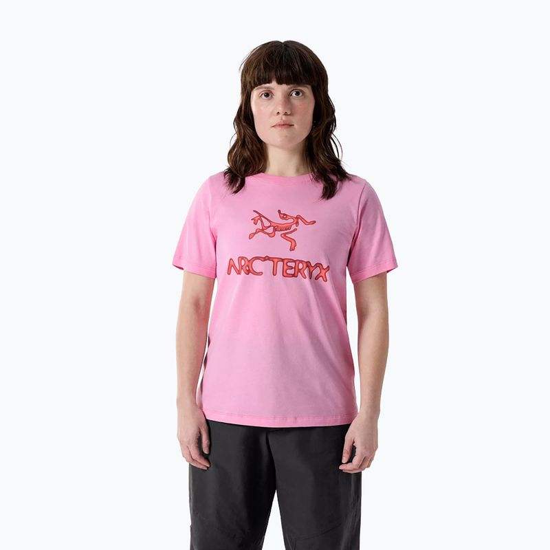 Moteriški marškinėliai Arcteryx Kragg SL Cotton Heatmap Crew pineberry