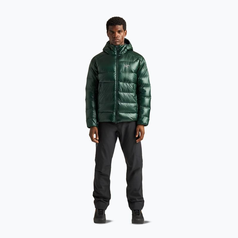 Vyriška pašiltinta striukė Arcteryx Cerium SV Hoody dark jade 2