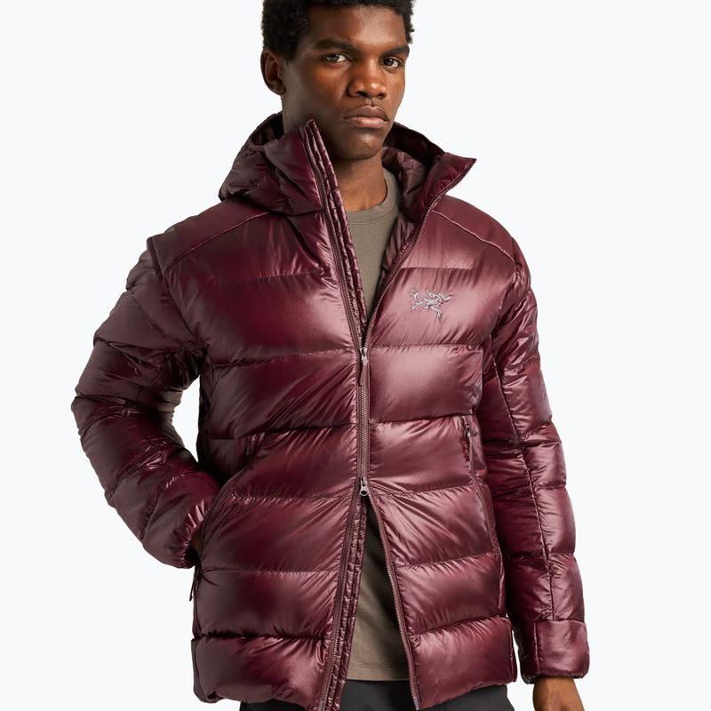 Vyriška pašiltinta striukė Arcteryx Cerium SV Hoody ultima 9