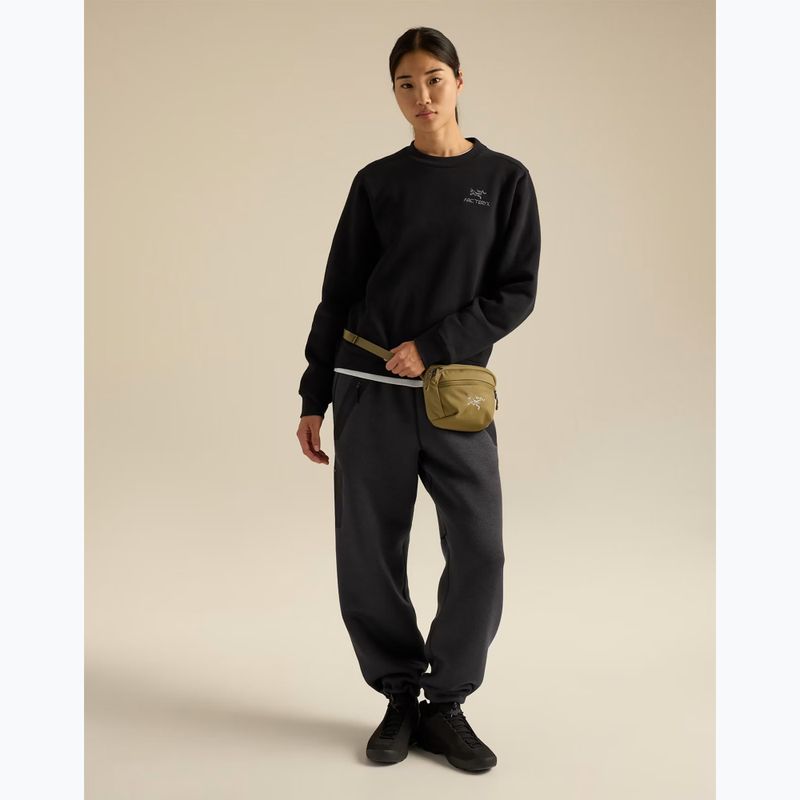 Juosmes krepšys Arcteryx Mantis 1 bracken 4