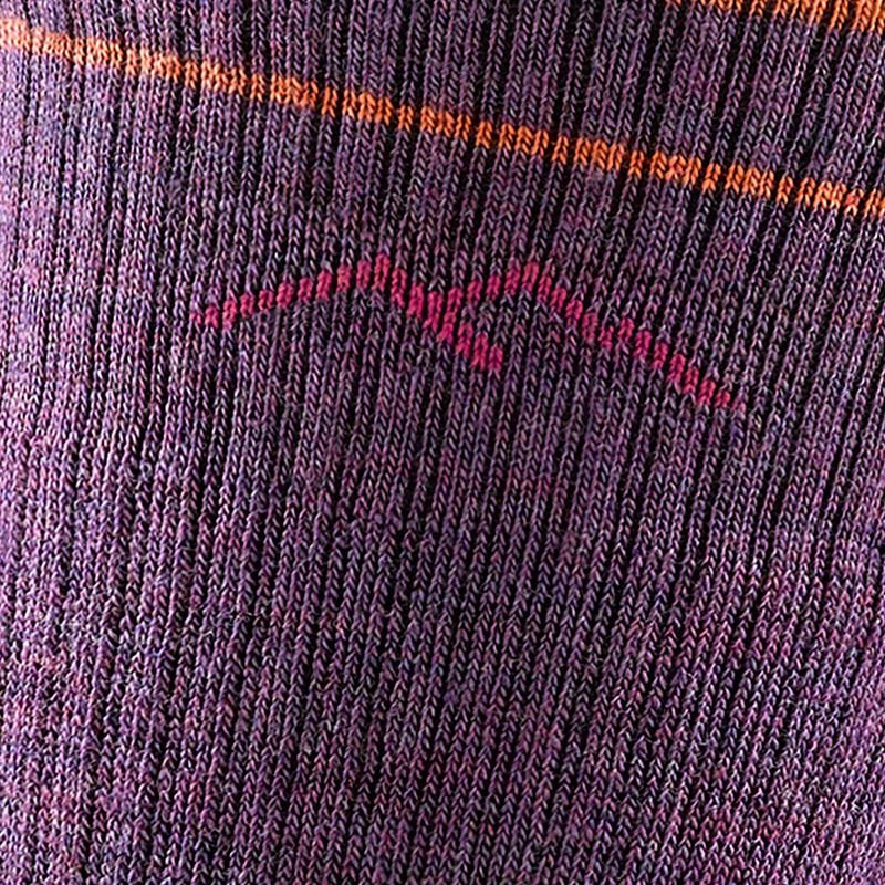 Moteriškos kojinės Darn Tough Hiker Boot Sock Full Cushion plum heather 2