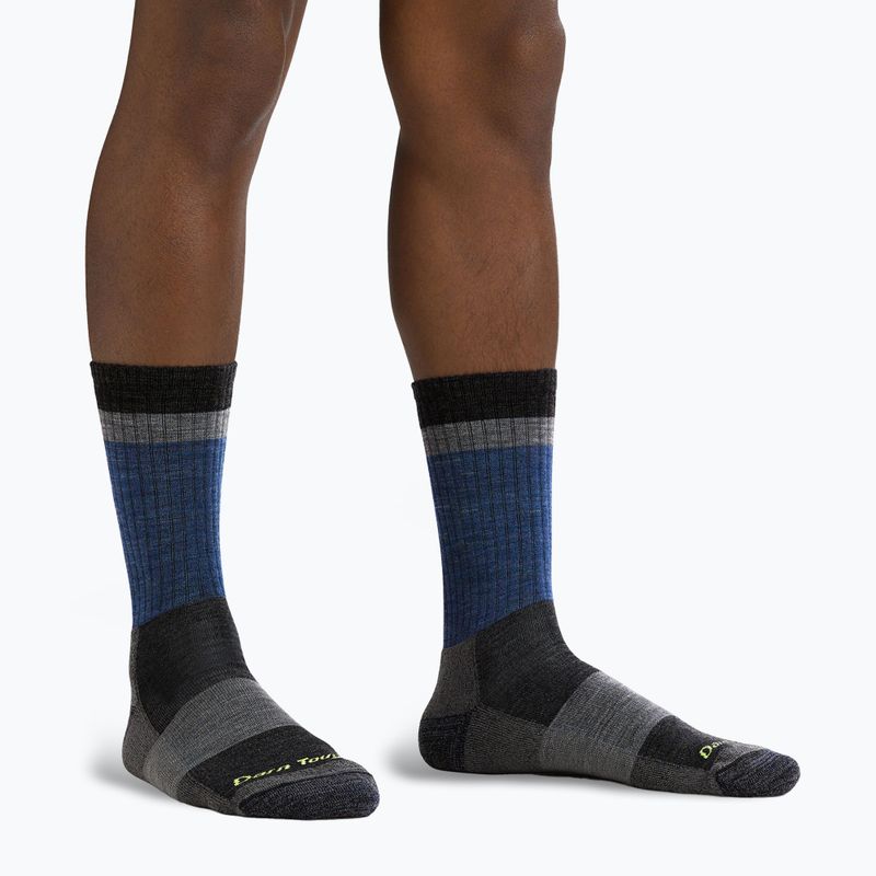 Vyriškos žygio kojinės Darn Tough Heady Stripe blue 2