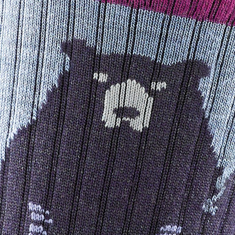 Moteriškos kojinės Darn Tough Bear Town Micro Crew Cushion purple 2