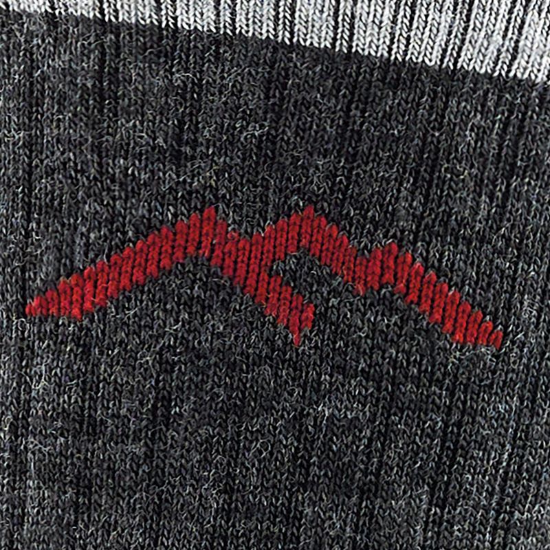 Vyriškos kojinės Darn Tough Hiker Micro Crew black 2