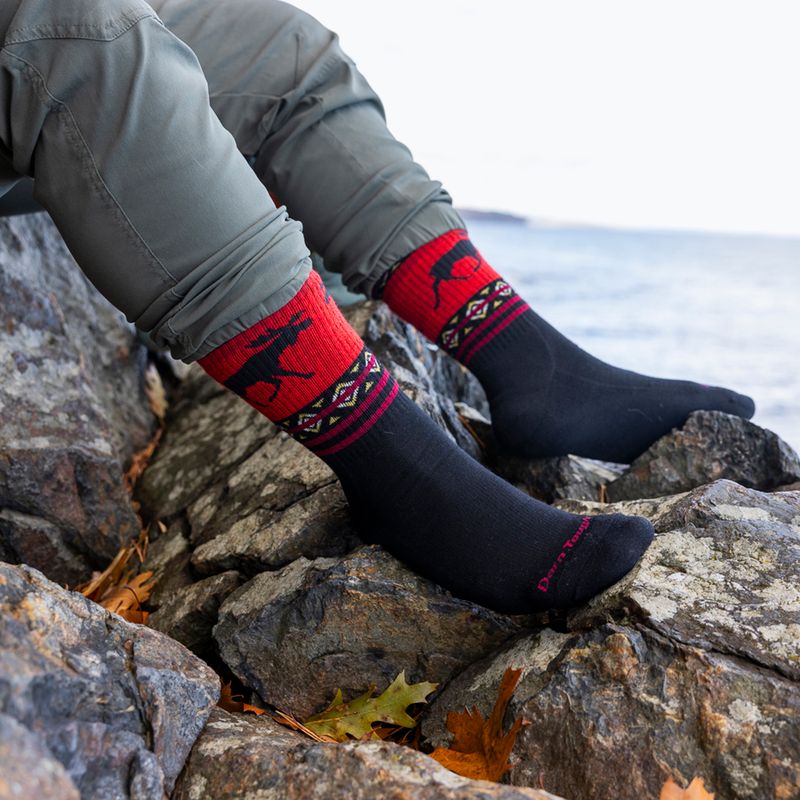 Vyriškos kojinės Darn Tough VanGrizzle Boot Sock Cushion moose black 6