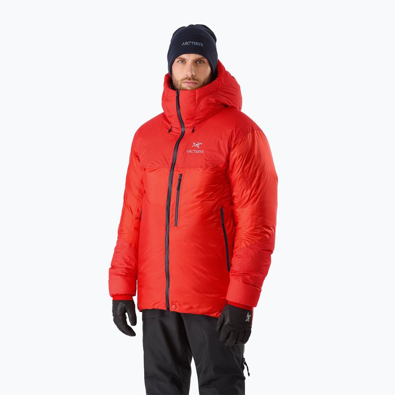 Vyriška pūkinė striukė Arc'Teryx Alpha Parka dynasty