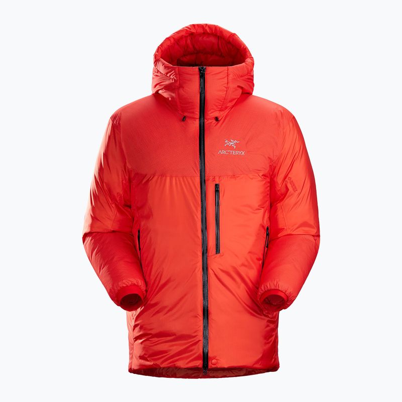 Vyriška pūkinė striukė Arc'Teryx Alpha Parka dynasty 7