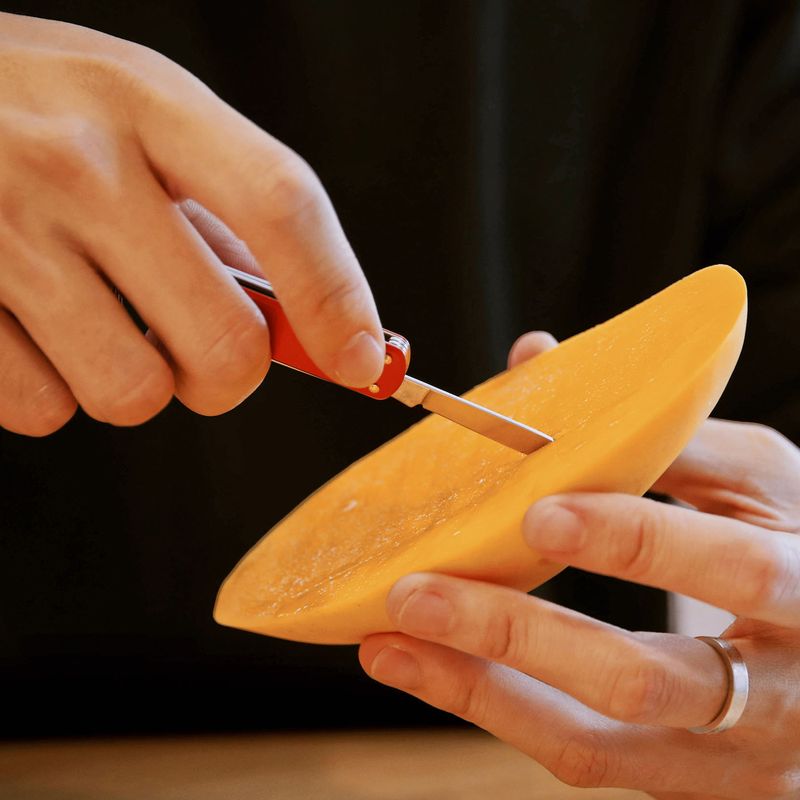 Daugiafunkcinis įrankis Nextool Mini Pocket Knife red 5