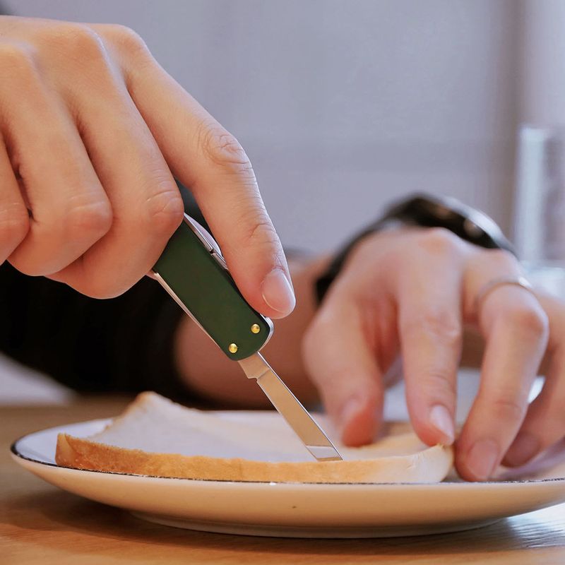 Daugiafunkcinis įrankis Nextool Mini Pocket Knife green 4