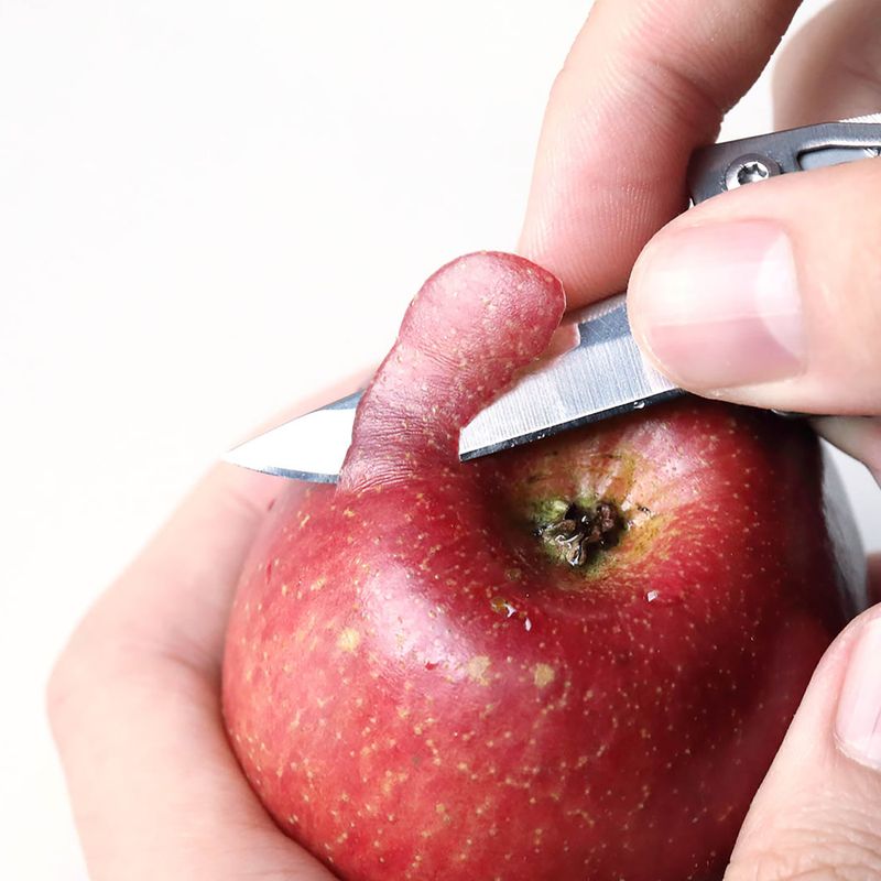 Daugiafunkcinis įrankis Nextool Mini Flagship F11 Multi Tool red 4