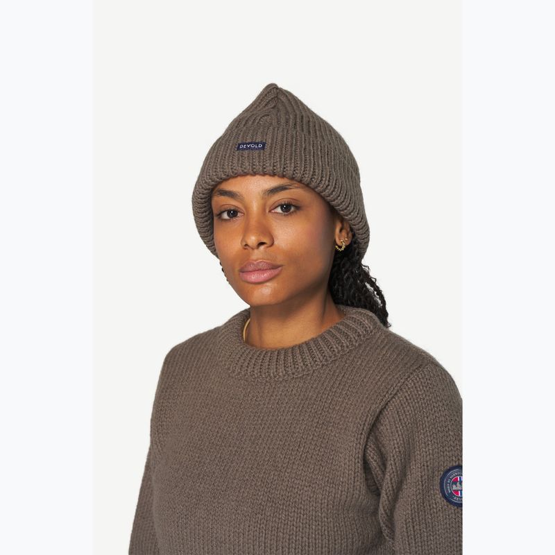Žieminė kepurė Devold Nansen Wool falcon 2