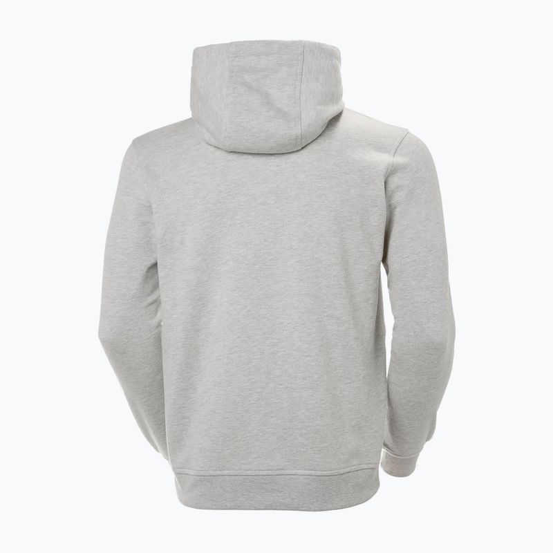 Vyriškas džemperis Helly Hansen HH Logo Hoodie grey/melange 2