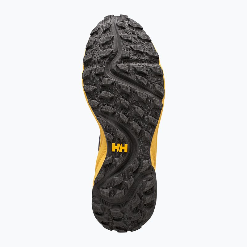Helly Hansen Falcon Tr vyriški bėgimo bateliai orange 11782_300 16