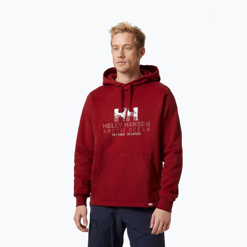 Vyriškas Helly Hansen Arctic Ocean Hoodie bordo spalvos 30361_215