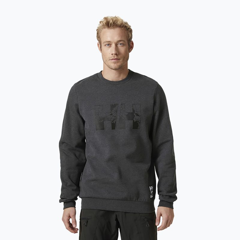 Vyriškas megztinis Helly Hansen Arctic Ocean Grey 30364_980