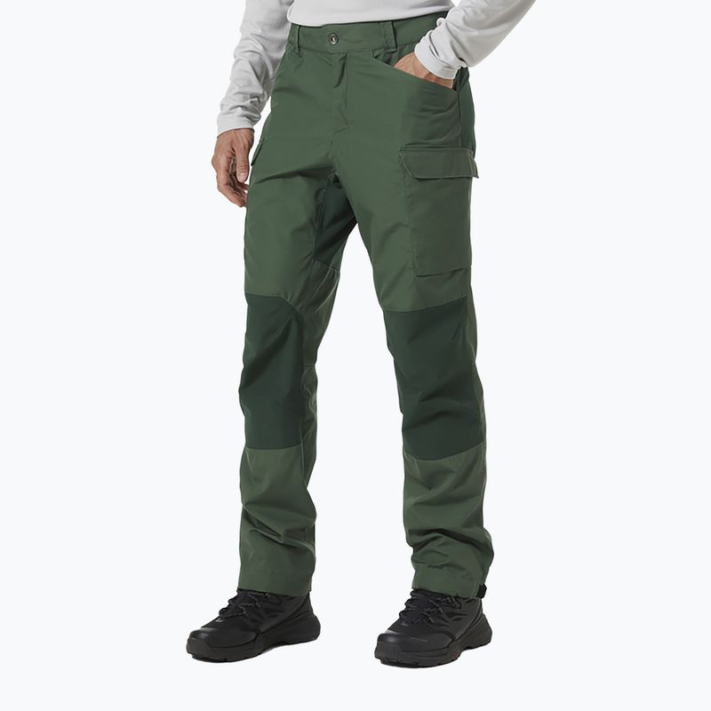 Helly Hansen vyriškos trekingo kelnės Vandre Tur green 62698_476