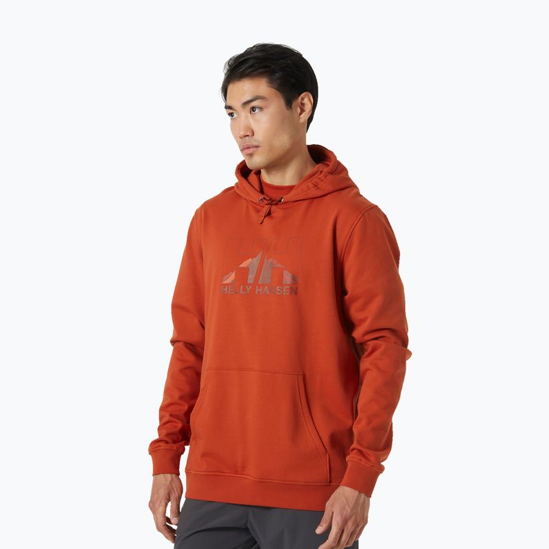 Vyriškas džemperis Helly Hansen Nord Graphic Pull Over Hoodie Red 62975_308