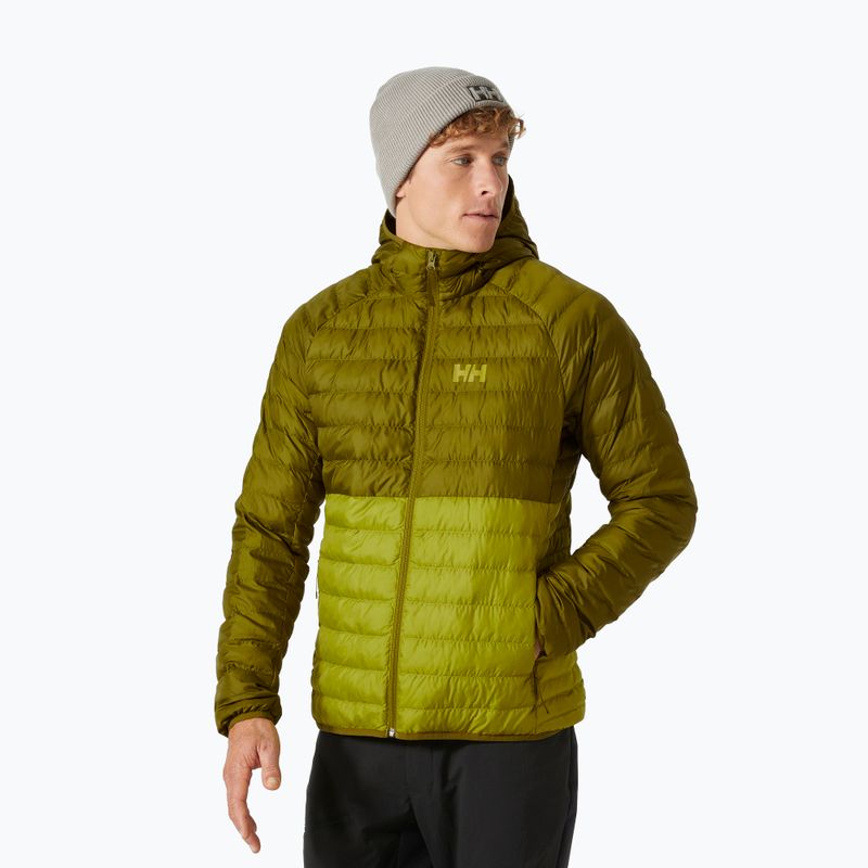 Vyriška pūkinė striukė Helly Hansen Banff Hooded Insulator bright moss